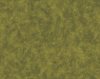 [1001111160_22] Flotex by Starck - 301012 chartreuse AB